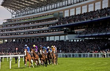 Luxury Hummer Hire in Hertfordshire